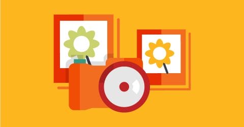 Featured image for “5 Steps to Optimize Images for Google Image Search”