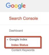 Google-Console-Index-Status